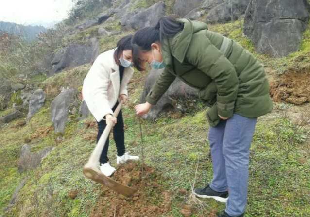 环设1801班冯兆君在家(湖北宜昌)植树 环设1801班冯兆君在家(湖北宜昌)植树