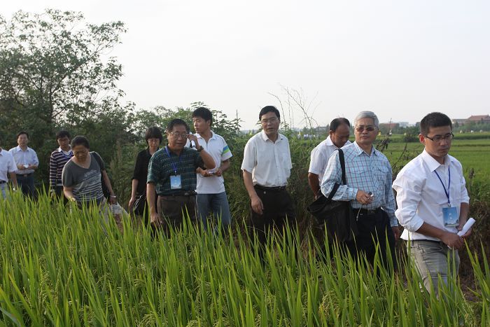 参观我校水稻优质高产栽培技术实验研究与示范基地