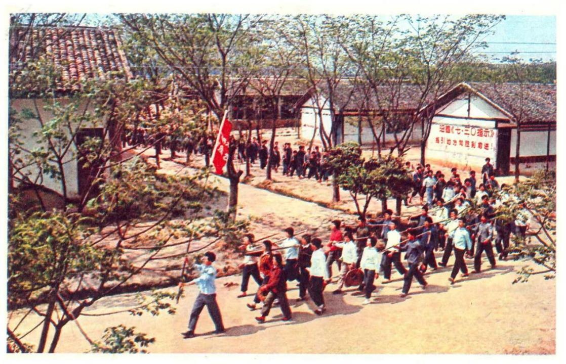 47043.jpg